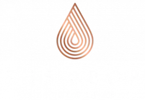 The Drop Collective white and gold logo